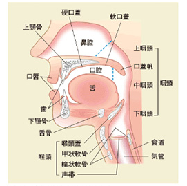 老人性肺炎の危険